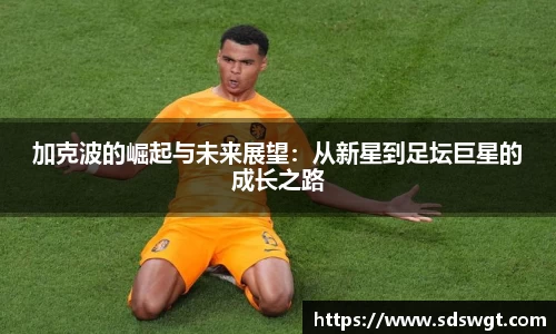 完美体育官方网站